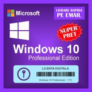 Windows 10 Professional