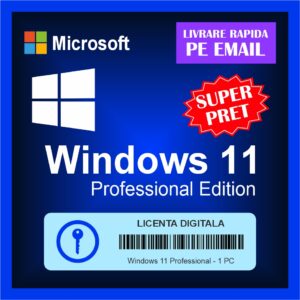 Windows 11 Professional